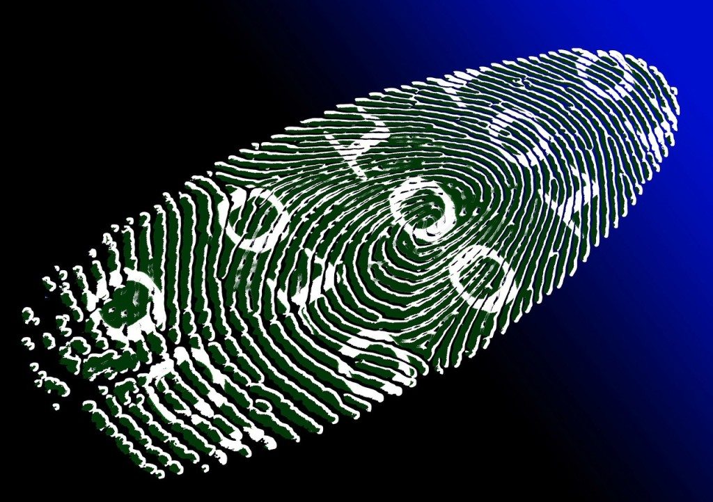 binary fingerprint Cylance