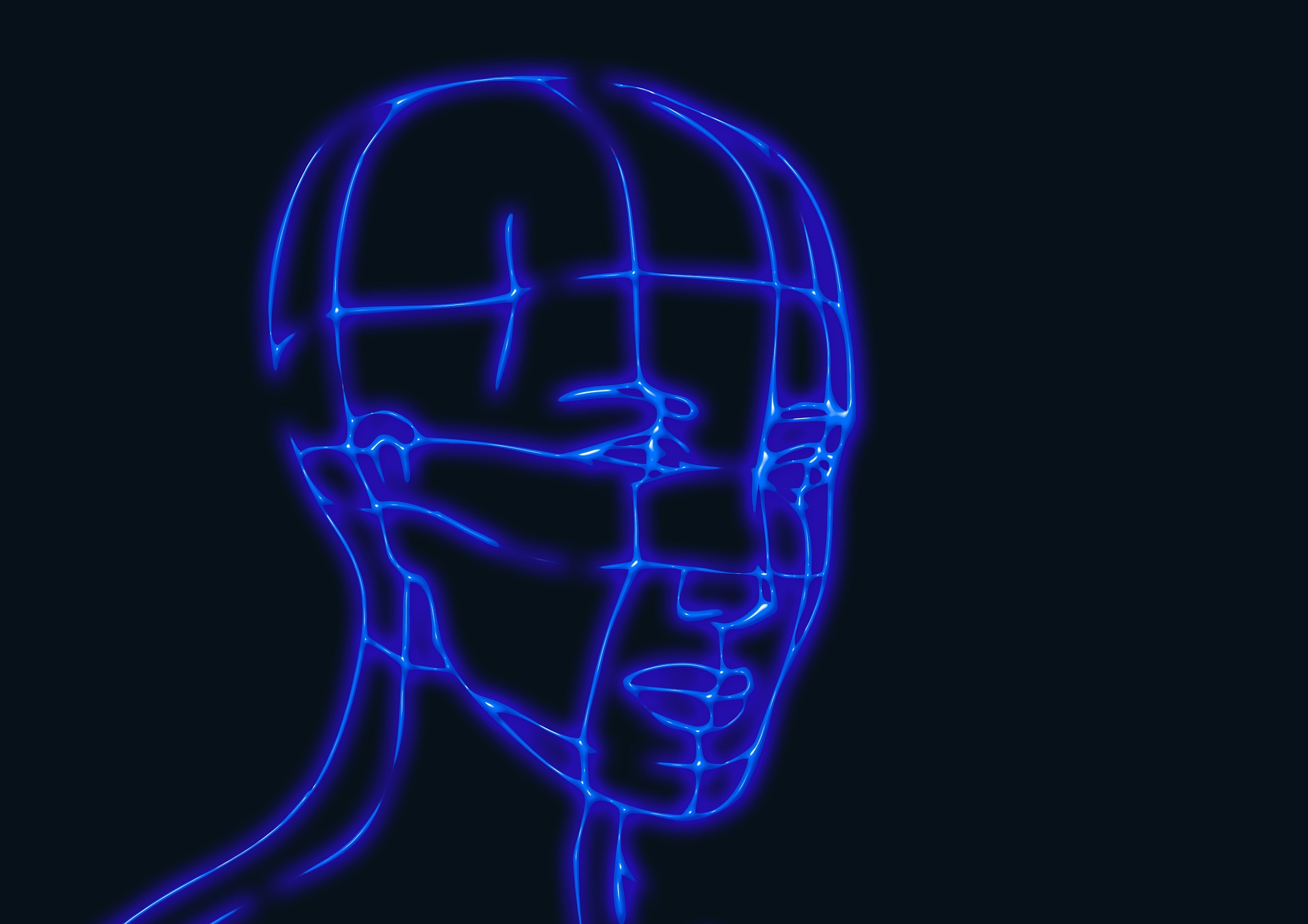 3D computerised graphic of a person's head using blue lines.