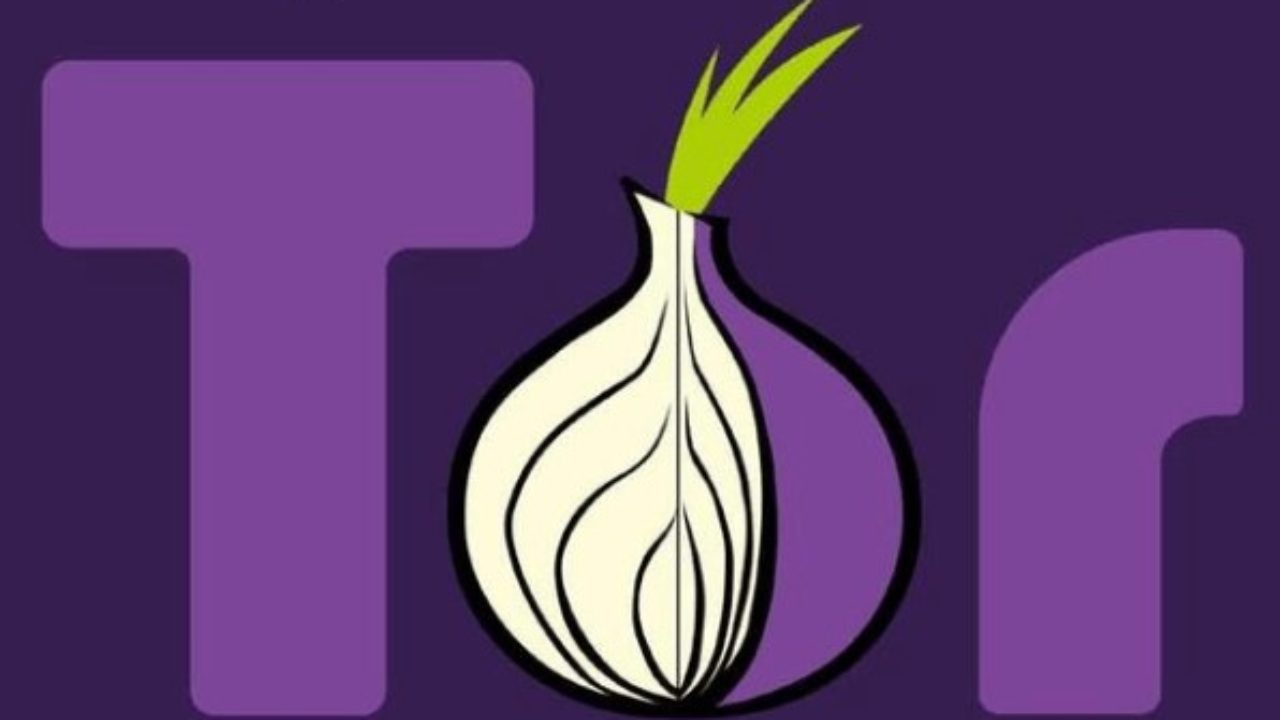 a browser like tor гирда