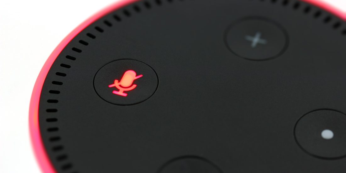 Amazon Echo Alexa risk privacy