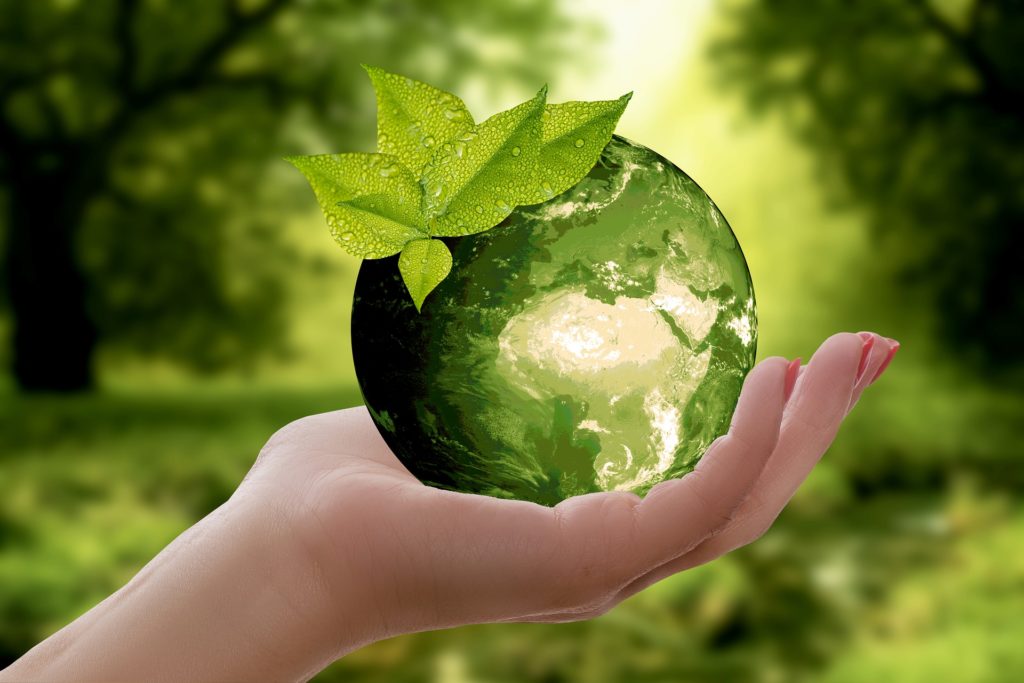 HP climate change ecology sustainability