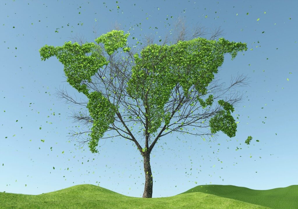 HP Renew Solutions sustainability climate environment