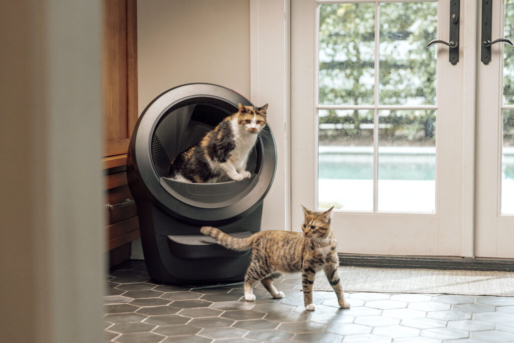 Litter-Robot 4 review