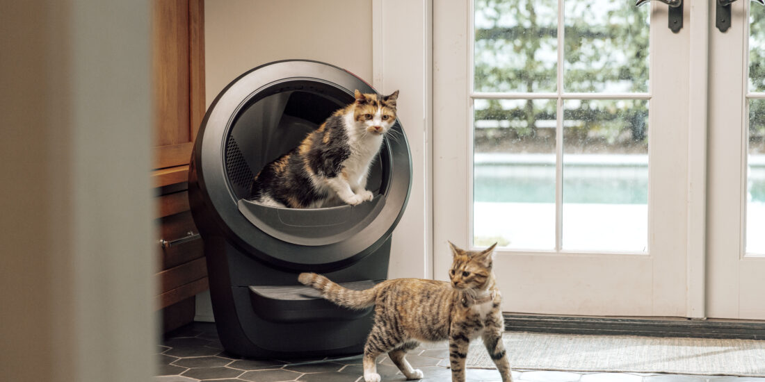 Litter-Robot 4 review