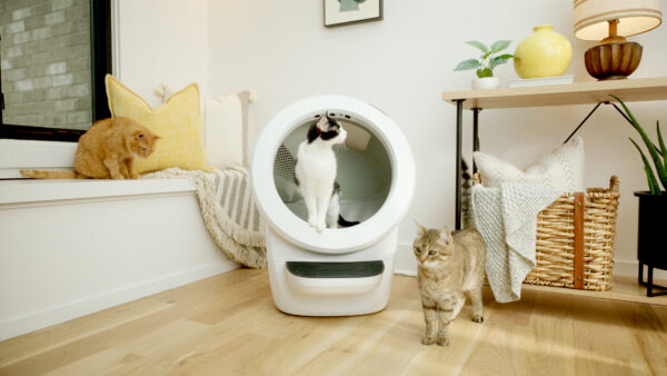 Litter-Robot 4 review