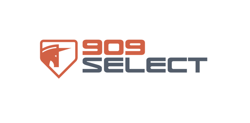 909Select cybersecurity freelancers gig economy