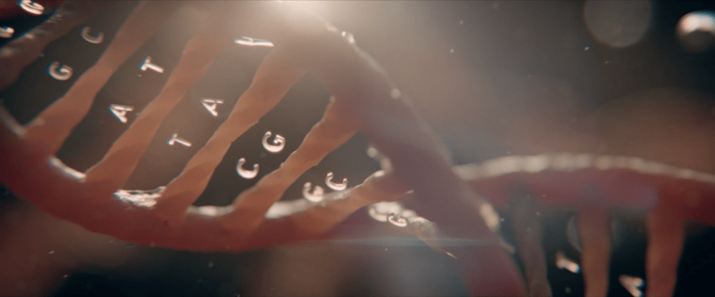 The Story of Everything Steve Meyer