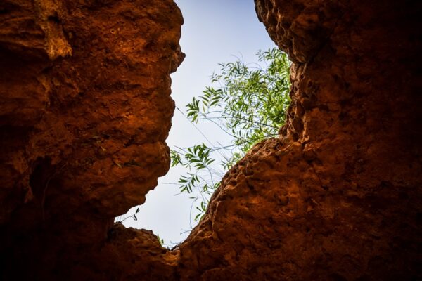measurement gap AI deployment https://www.pexels.com/photo/a-plant-seen-from-a-cave-19715310/